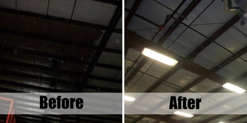 moldbeforeandafter