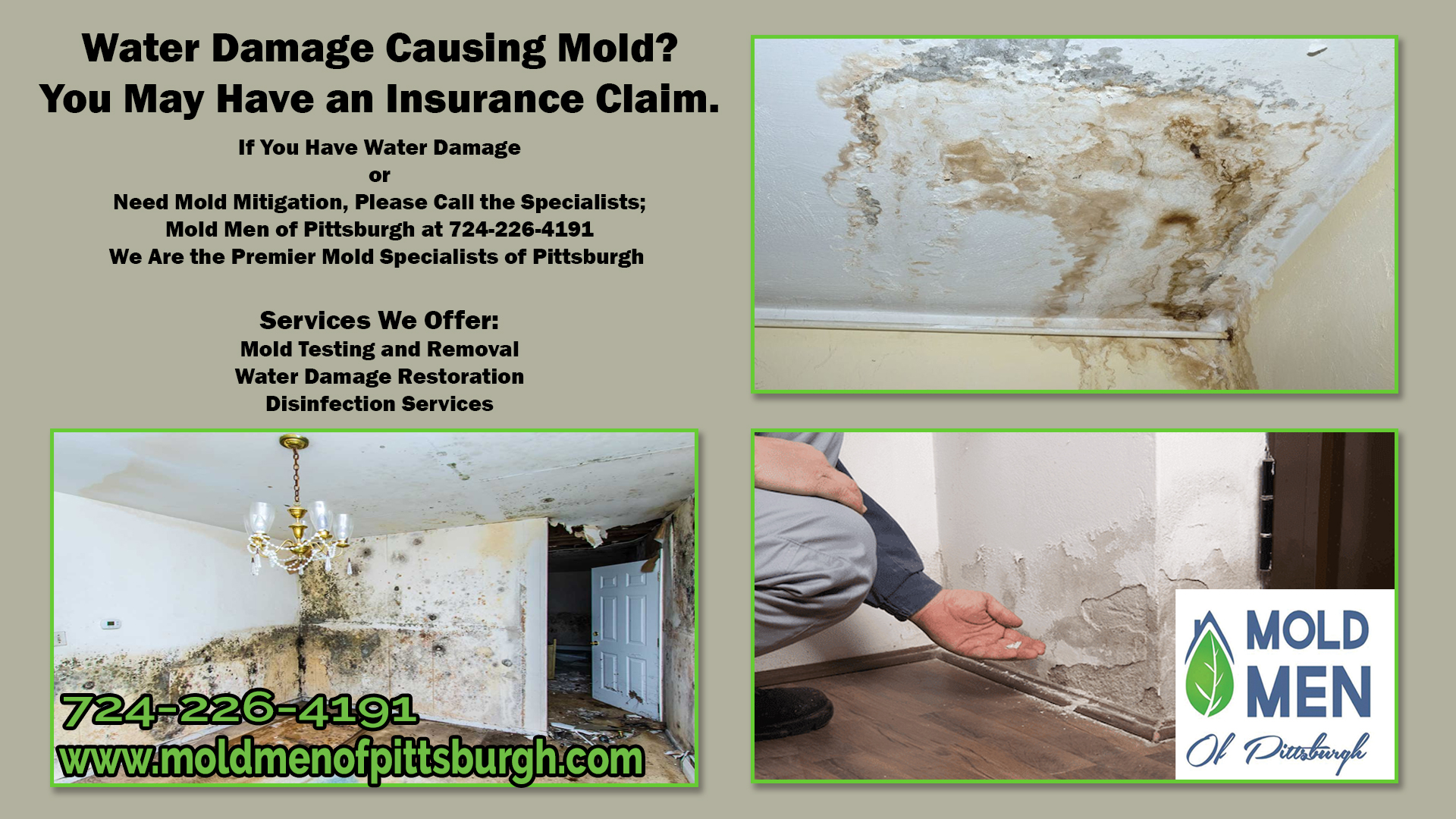 moldinsuranceclaim